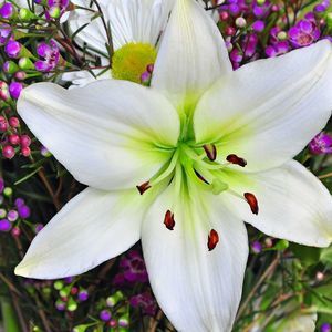 Meet your Posher, Maureen